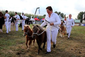 tn_20161001-fokveedag-213